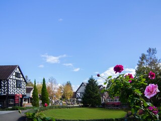 観光地の公園の風景