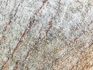 background with sloping texture in shades of brown and red conveying maturity and serenity