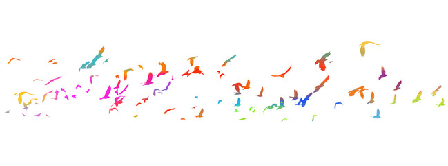 A flock of colorful birds. Vector illustration