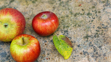 three apples on a stone table background
