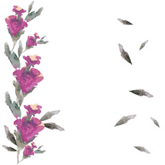 watercolor illustration delicate flowers with gray leaves,for cards,invitations or congratulations