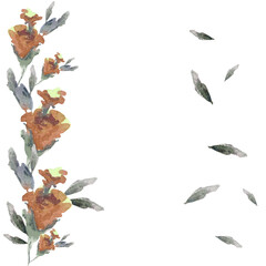 watercolor illustration delicate flowers with gray leaves,for cards,invitations or congratulations