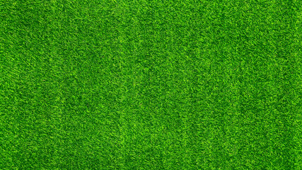 Plakat Green grass texture background grass garden concept used for making green background football pitch, Grass Golf, artificial grass, green lawn pattern textured background.