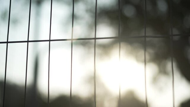 Metal lattice in sunshine outdoors on sunny summer day. Stainless steel fencing in sunrays at sunrise