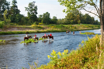 Summer landscape - view of the horse riders in the shallow water of the Ostravice river, near Ostrava, in the Moravian-Silesian Region, Czech Republic