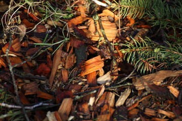 Rindenmulch