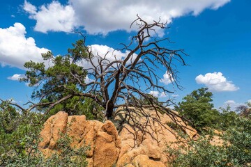 Prescott Arizona drone aerial