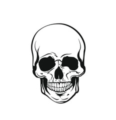 Vector black and white illustration of a human skull with a lower jaw in ink hand drawn style.