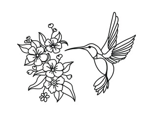Hummingbird, Wreath with peony, Flying bird, vector illustration