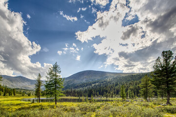 Mountain lake surrounded by forest.