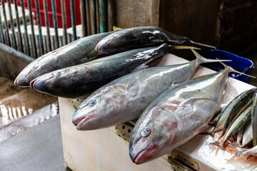 Fresh Jack fish (Caranx hippos) on a market stall in Victoria town, Mahe, Seychelles.