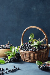 Fototapeta na wymiar Freshly picked homegrown aronia berries