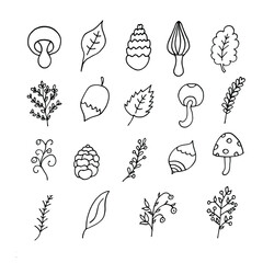 Autumn set of berries, leaves, mushrooms, plants, nuts, cone in doodle style isolated on the white background. Hand drawn icon collection. 
