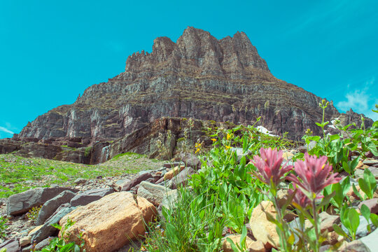 Mountain in Glacier National Park