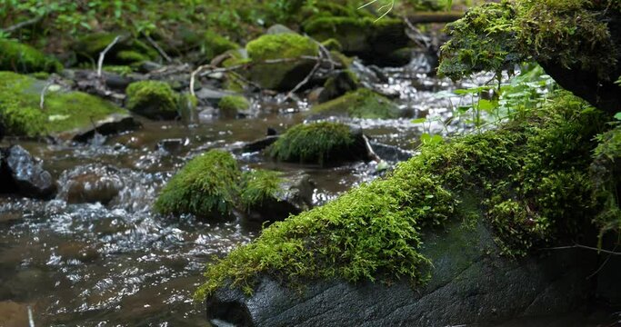 Beautiful brook in mountains. Clean and cold water of small river. Cinema 4K 60fps one minute video with sound