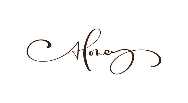 Honey calligraphy lettering text. Vector bee hand lettering word in black color isolated on white background. Concept for logo card, typography poster, print