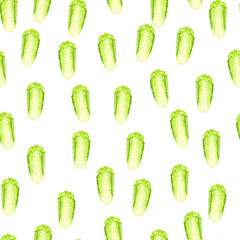 Seamless pattern Chinese cabbage on white background. Minimalism ornament with lettuce.