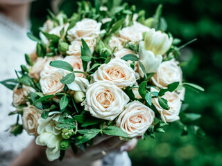 Wedding Bouquet of flowers. bridal bouquet of beige roses in the hands of the bride