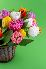 Mix of spring tulips flowers. Background with flowers tulips close-up different colors. Multi-colored spring flower. Gift. Red, pink, white and yellow. Bouquet in a basket. Vase.