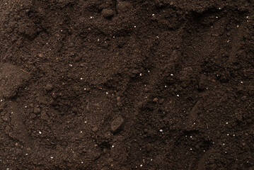 Black land for plant background. Top view.
