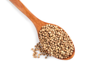Dried coriander seeds with wooden spoon on white background, top view