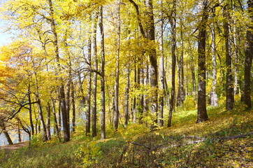 Autumn in Tsaritsyno Park in Moscow, Russia