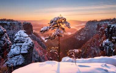 winter landscape with snow covered mountains