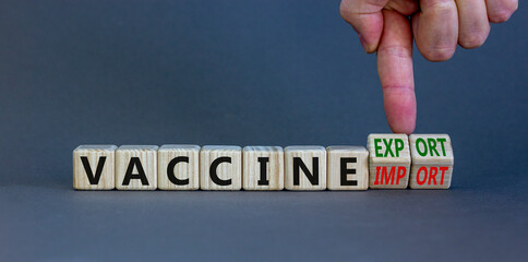 Covid-19 vaccine export or import symbol. Doctor turns cubes, changes words vaccine import to vaccine export. Beautiful grey background, copy space. Medical, Covid-19 vaccine export or import concept.