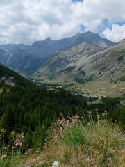 Pont du Châtelet - Fouillouse - 04