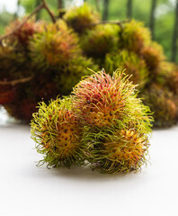 Naklejka na ściany i meble rambutan three fruits hairy asia fruit on blurry background of fruit branches