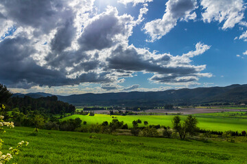 Fototapeta premium Green meadow in a day with white and gray clouds and sun rays.