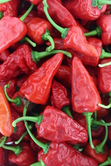 Pimientos Rojos