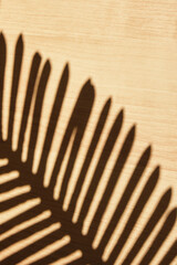 shadow of a palm tree branch on a wooden surface, texture background mockup for presentation of product