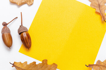 Autumn mockup frame from blank paper. Yellow frame for text. Acorns and golden oak leaves on white...