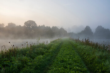 Mists over the ponds on Guldowy in Cieszyn against the background of the sky at dawn