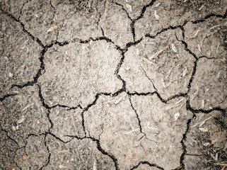 Arid outdoor ground with crack in the soil.