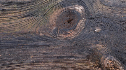 Old wood plank