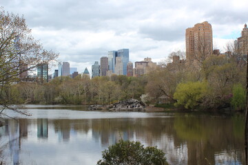 Fototapeta premium central park city