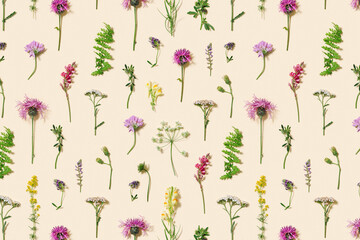 Natural summer wildflowers, meadow herbs and field bloom plants, green grass, small wild blossom,