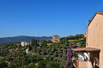 Scenic view of the Tuscan hills with houses and cultivated fields in a sunny summer day, Castagneto Carducci, Livorno, Tuscany, Italy