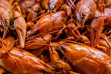 Close up of delicious red boiled crawfish/crayfish