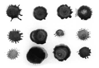 Set black spray stain in shape stain isolated on white background, photo with clipping path