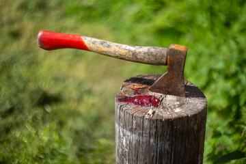Blood stain on the stump with an ax stuck in it.Shallow depth of field.