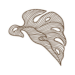 Illustration of stylized monstera palm leaf. Decorative image of tropical foliage and plant.