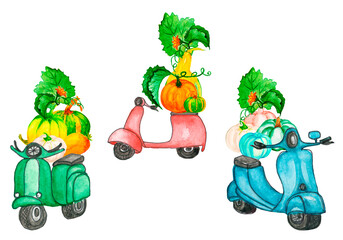 Watercolor autumn clipart transport,Autumn ,bouquet,in pumpkin,  watercolor, illustration ,sunflower,Thanksgiving pumpkin illustration, Harvest festival invitation, farm auto clipart.