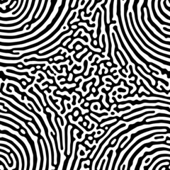 Fototapeta na wymiar Vector seamless pattern. Black and white geometric background. Spiral turing shapes texture. Natural biologic design.