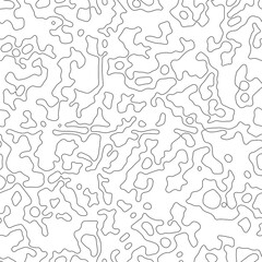 Geometric vector pattern. Black and white linear curves background. Topographic and geographic curves outline design. Mapping texture.