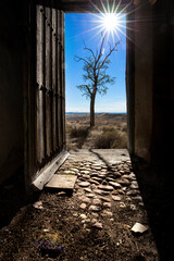Casa en ruinas. Puerta madera vintage