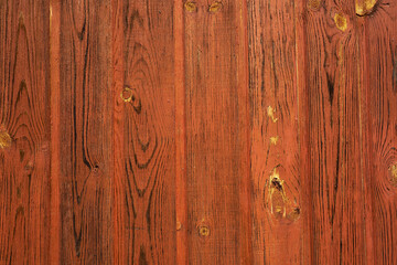 A wall of painted wooden boards as a background.