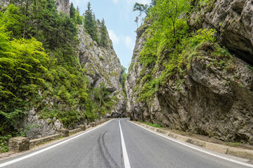 Fototapeta premium The Bicaz Gorge in Trasylvania, Romania